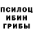 Псилоцибиновые грибы GOLDEN TEACHER Ls 350