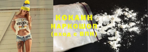 ПСИЛОЦИБИНОВЫЕ ГРИБЫ Белокуриха