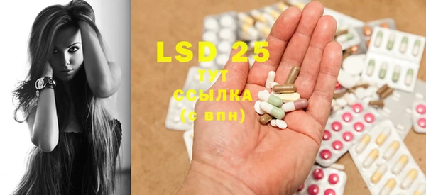 ПСИЛОЦИБИНОВЫЕ ГРИБЫ Белокуриха