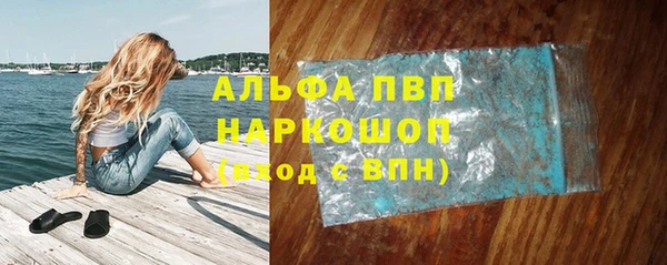 ПСИЛОЦИБИНОВЫЕ ГРИБЫ Белокуриха