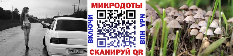 Галлюциногенные грибы ЛСД закладки Калининец